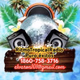 Ritmo Tropical Radio Logo