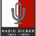 Radio Dilber FM 94 Logo