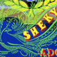Shekynah Stereo Logo