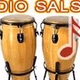 Radio Salson Logo
