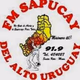 Sapucay FM 91.9 Logo