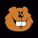 106.3 The Beaver - WBVR Logo