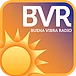Buena Vibra Radio Logo