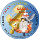Radio Orastie Logo