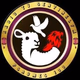 RadioTeleSentinel Logo