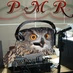 Poli Music Radio Logo
