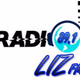 Radio Liz FM Logo