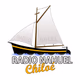Radio Nahuel Logo