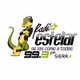 Radio Estelar 99.3 Logo