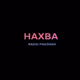 Rádio Pagodão Haxba Logo