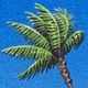Talas Radio Logo