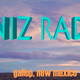 KNIZ 90.1 FM Logo