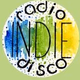 The Disco Paradise - Indie Disco Logo