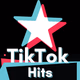TikTok - Hits Logo