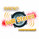 Sur Stereo Logo