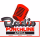 Radio Punchline Africa Logo