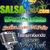 Radio Salsadecali.com Logo