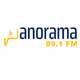 PANORAMA 89.1 FM Logo