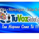 Tuvozglobal Logo