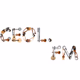 Ceol FM - Soothing Logo