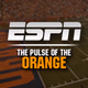 ESPN Radio Syracuse - WSGO Logo