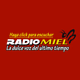Radio Miel Puerto Rico Logo