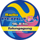 Radio Perkasa FM Logo