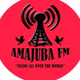 Amajuba Fm Logo