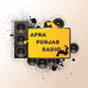 Apna Punjab Radio USA Logo