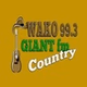 Giant FM - W257DW logo