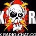 Punksender Logo