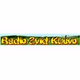 Radio Zvizd Logo