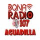 BQNA Radio 107 Logo