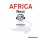AFRICA NEST mudendere Logo