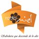 Radio Miel Logo