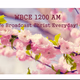 WBCE - WBCE Logo