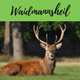 Waidmannsheil Logo