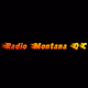 Radio Montana QC Logo