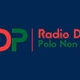 Disco Polo Non Stop FM Logo