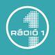 Rádió 1 Nagykanizsa logo