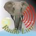 Radio Lwo Logo