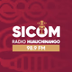SICOM Huauchinango 98.9  - XHNGO Logo