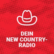 Radio 91.2 - Dein New Country Logo