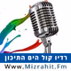 מוזיקה מזרחית ים תיכונית Logo
