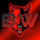 Akio Logo