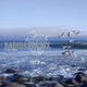 Grupo Radioasta - XHSCBH Logo