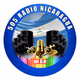 505 Nicaragua Radio Logo