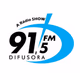 Rádio Difusora 91.5 FM Logo