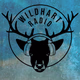 Wildhart Radio Logo