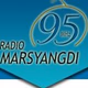 Radio Marsyangdi Logo